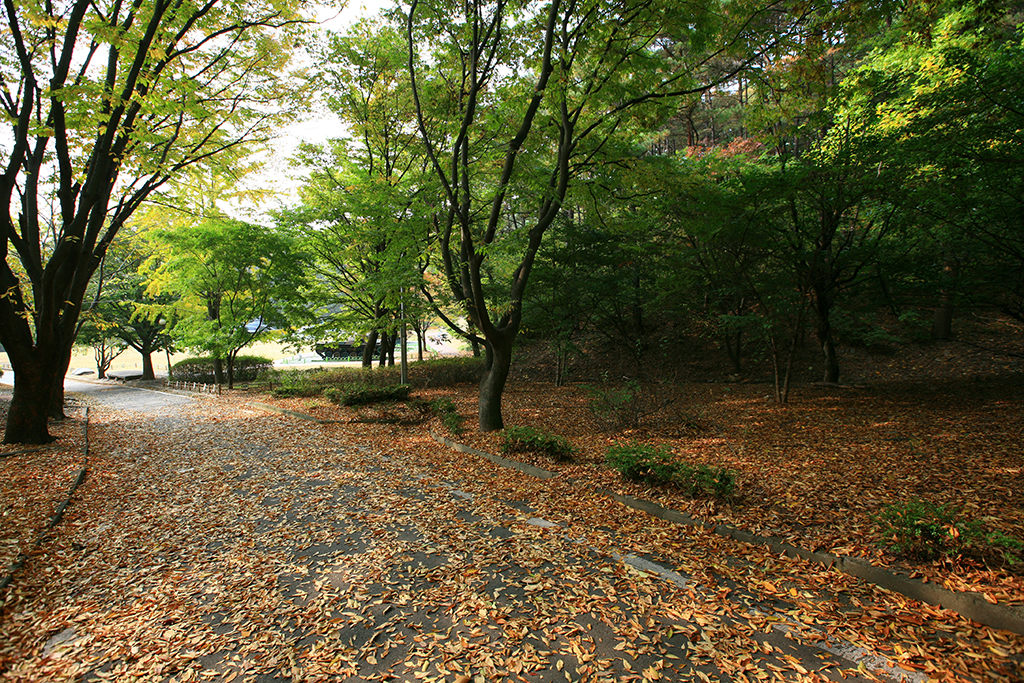 太祖山公园